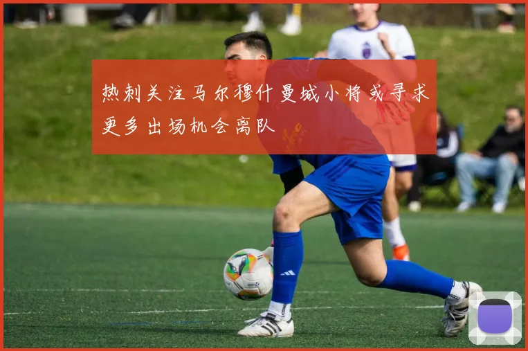 热刺关注马尔穆什曼城小将或寻求更多出场机会离队