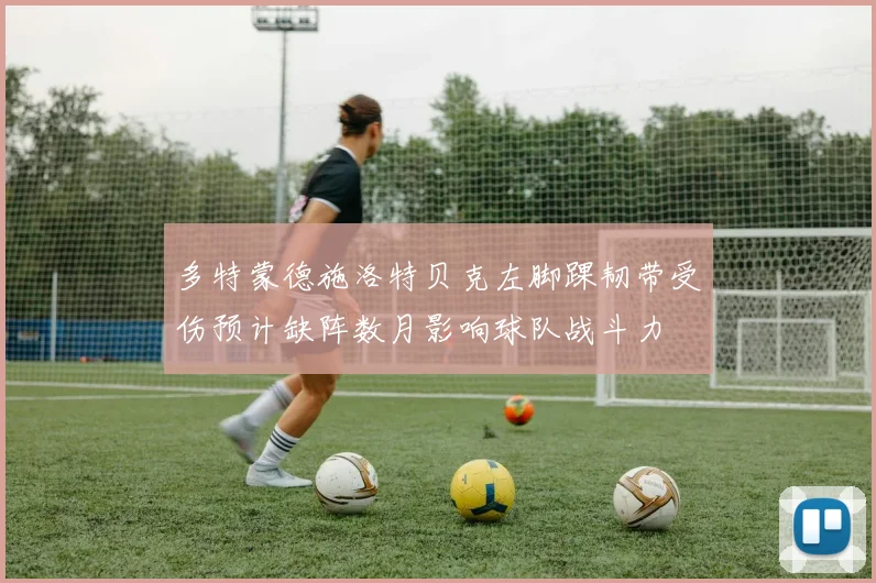 多特蒙德施洛特贝克左脚踝韧带受伤预计缺阵数月影响球队战斗力